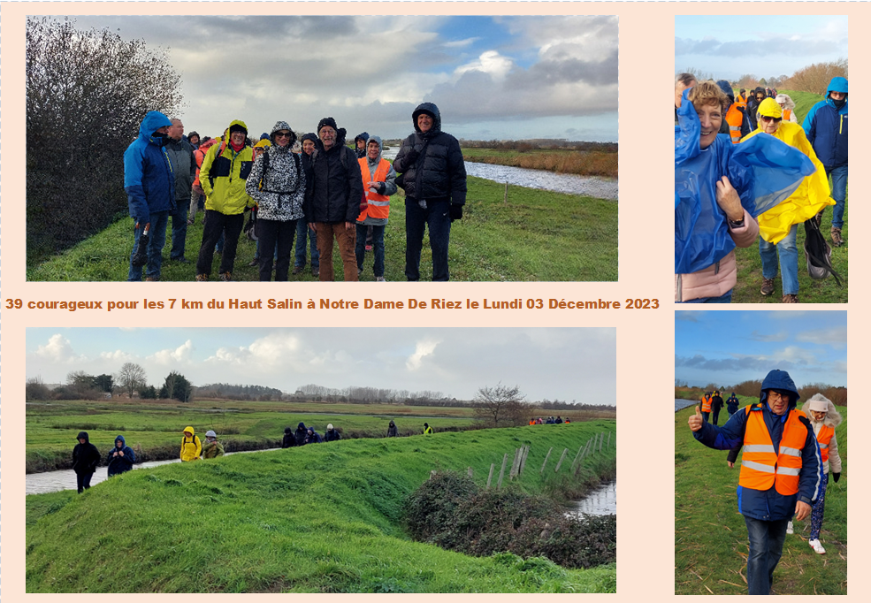 Rando du 03/12/2023 Notre Dame De Riez