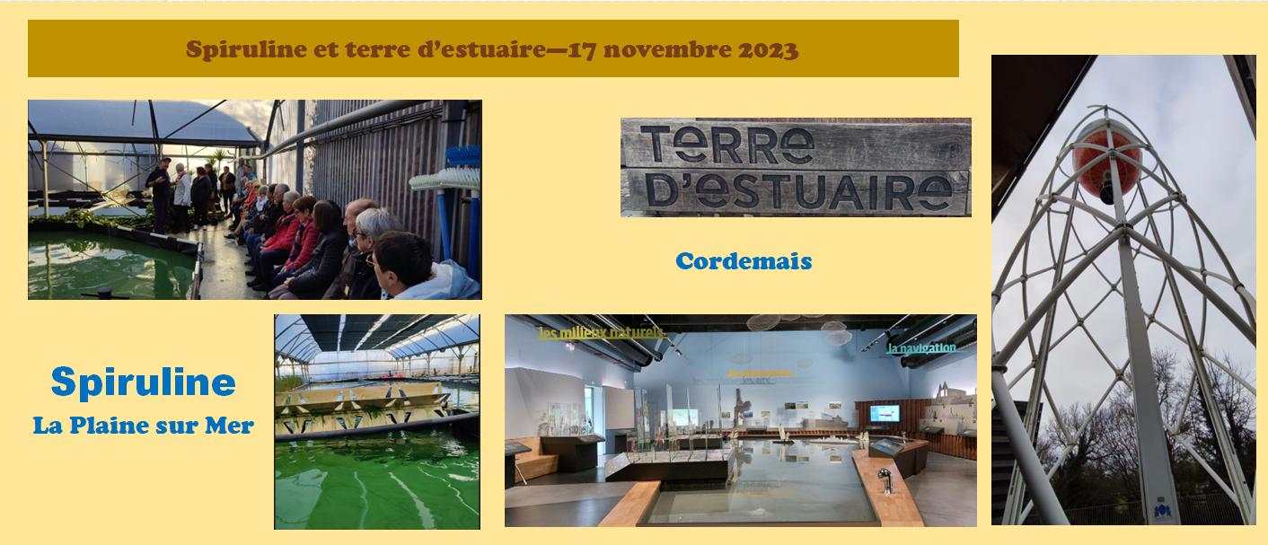 Spiruline et terre d'estuaire 17-11-2023