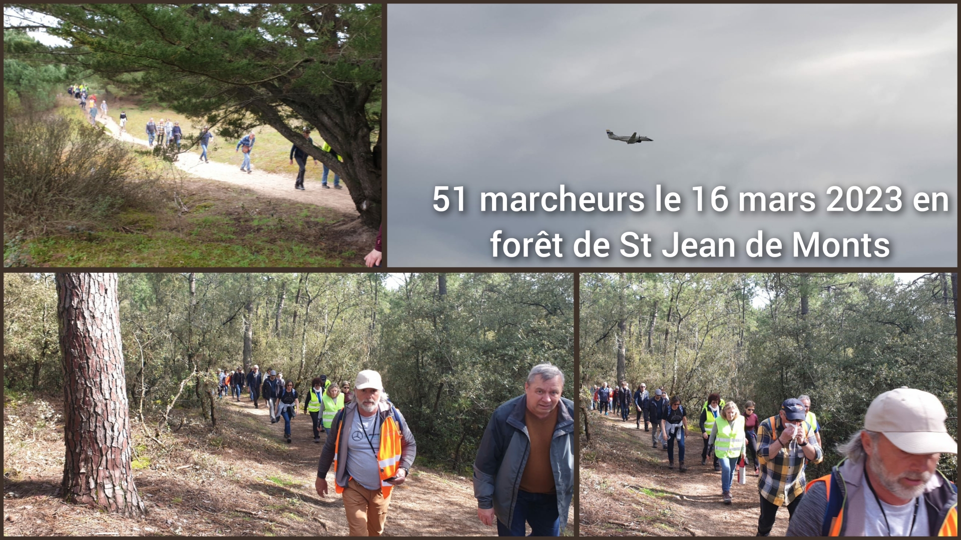 forêt de Saint Jean de Monts
