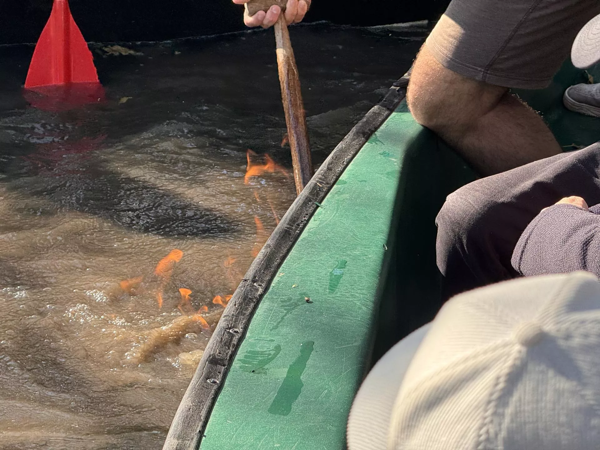 ça rame et ça gaze