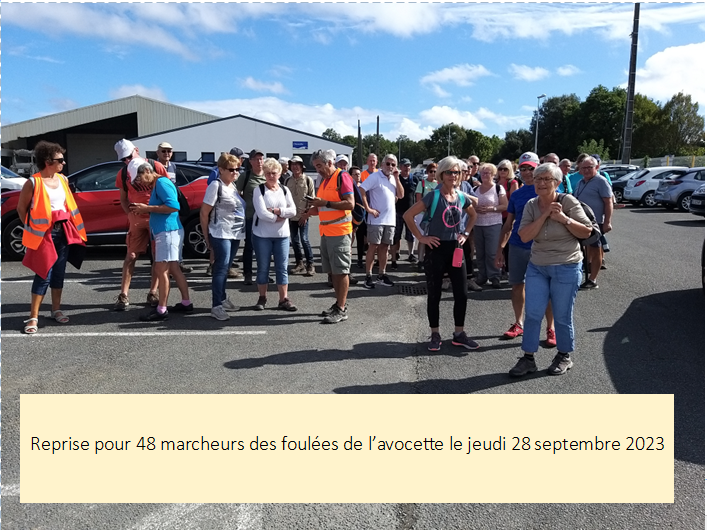 Reprise des foulées de l'Avocette
